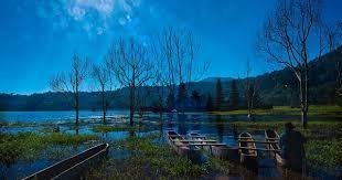 Trekking to West Bali National Park & Tamblingan Lake 3 Days